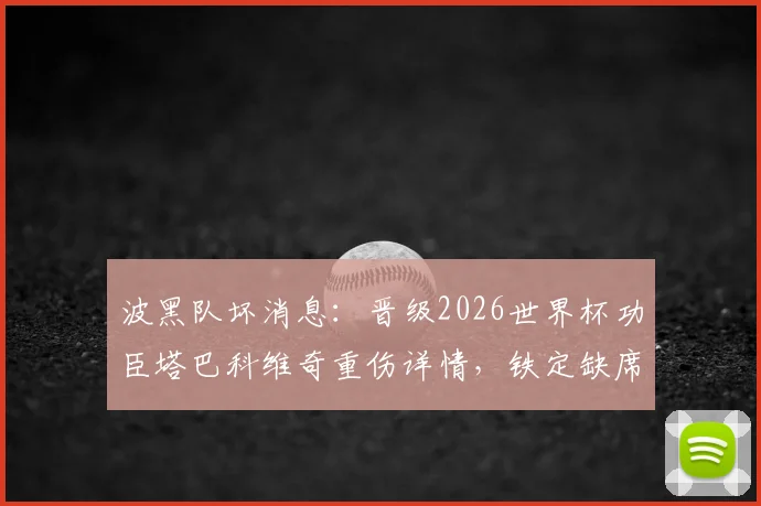 波黑队坏消息:晋级2026世界杯功臣塔巴科维奇重伤详情,铁定缺席,球队阵容如何调整?